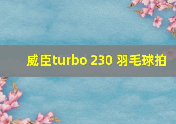 威臣turbo 230 羽毛球拍